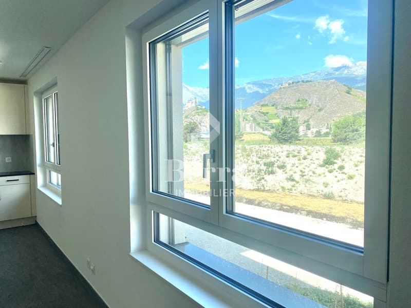 Grande studio nuovo di 45m2 in affitto! (4)