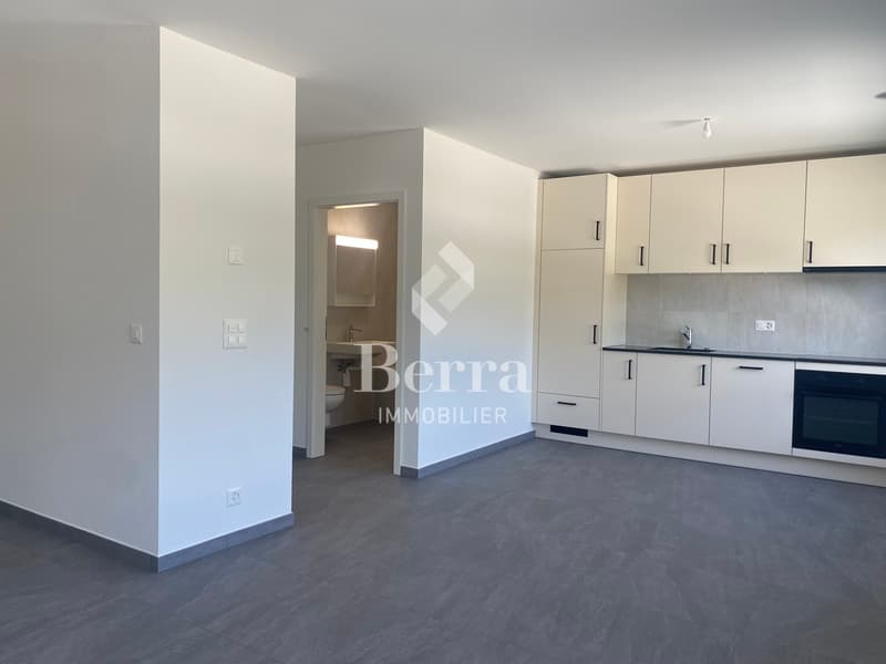 Grande studio nuovo di 45m2 in affitto! (2)