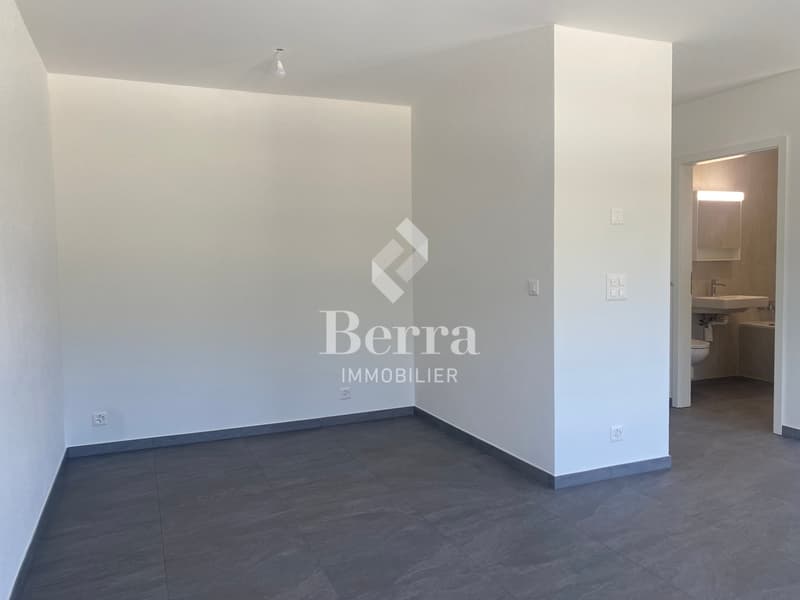 Grande studio nuovo di 45m2 in affitto! (3)