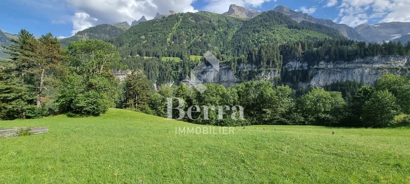 Appartement de 3.5 pièces au rez (2)