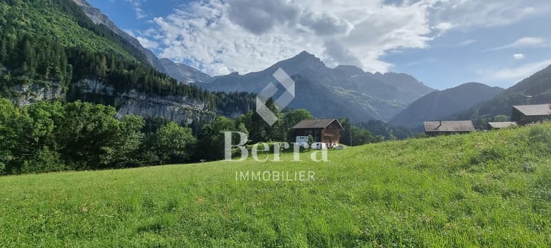 Appartement de 3.5 pièces au rez (9)