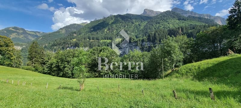 Appartement de 3.5 pièces au rez (7)