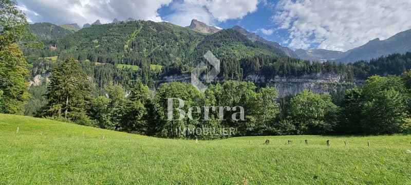 Appartement de 4.5 pièces au rez (11)