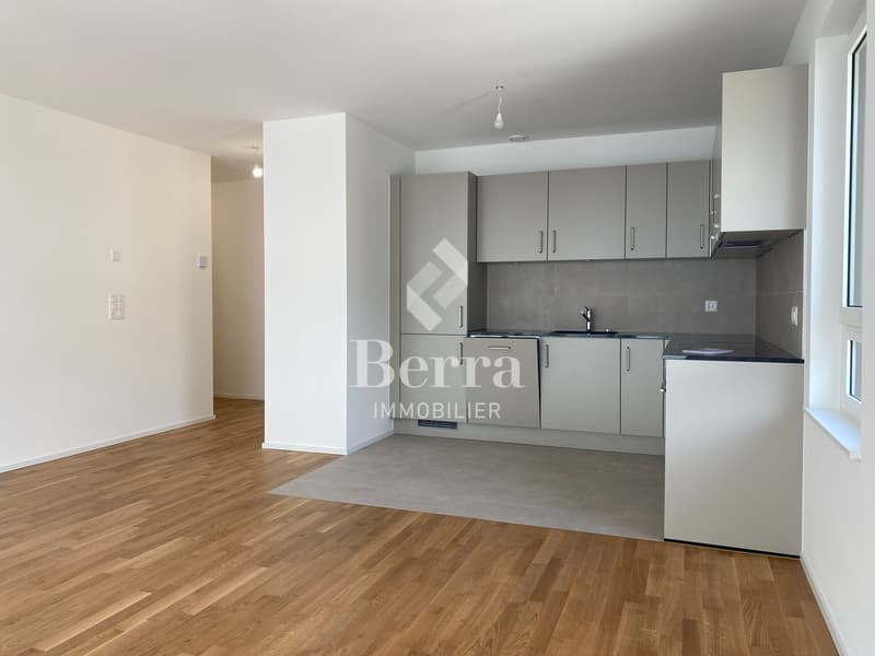 2,5 Zimmer neu ! Verfügbar sofort (3)