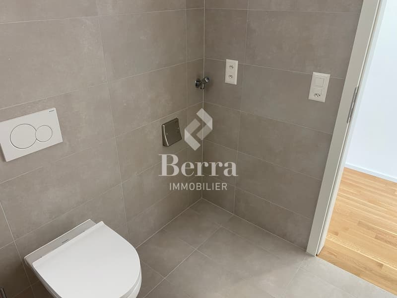 2,5 Zimmer neu ! Verfügbar sofort (12)
