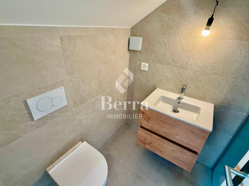 Magnifique triplex de 4.5 pièces ! (10)