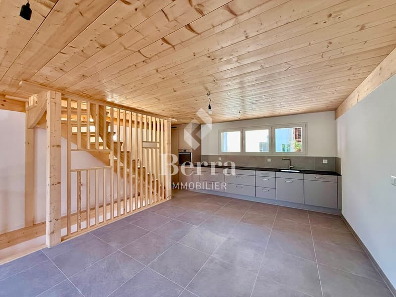 Magnifique triplex de 4.5 pièces ! (1)