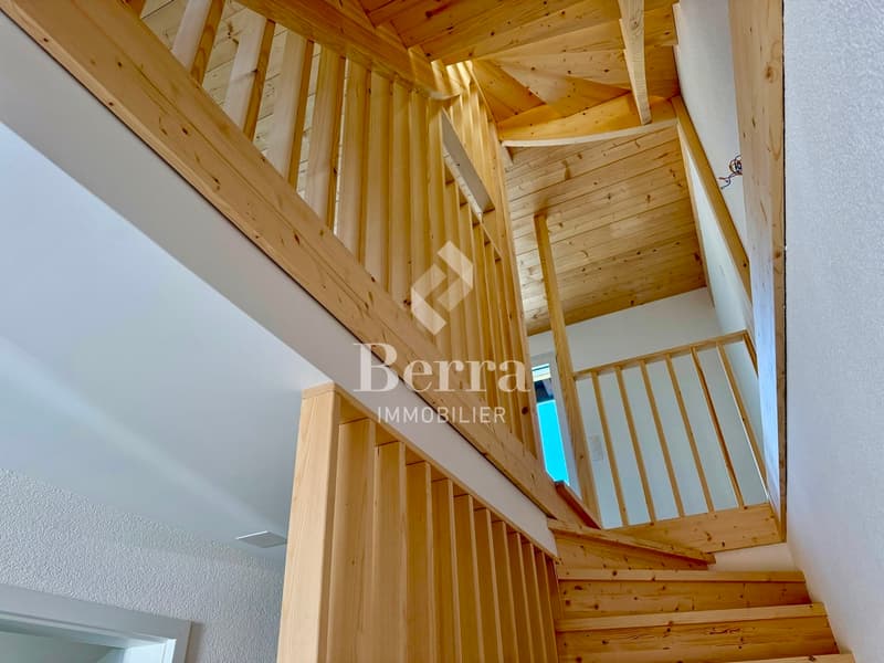 Magnifique triplex de 4.5 pièces ! (5)