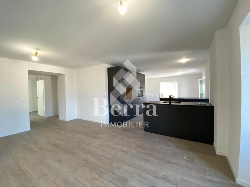 Duplex de 4.5 pièces + parcelle de 405 m2 (4)