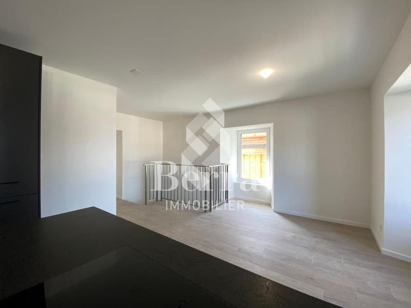 Duplex de 4.5 pièces + parcelle de 405 m2 (5)