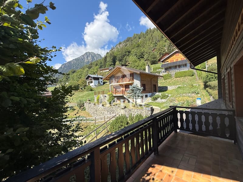 3.5 pièces rénové, grand balcon sud-ouest et vue dégagé (3)