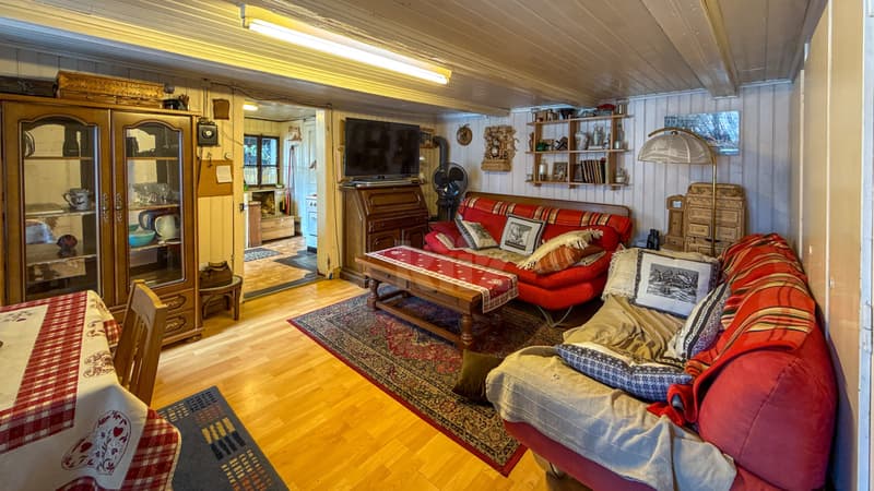 Charmante villa de deux appartements au formidable potentiel (3)