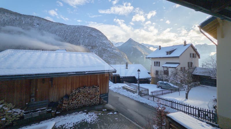 Charmante villa de deux appartements au formidable potentiel (12)