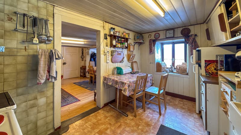 Charmante villa de deux appartements au formidable potentiel (2)