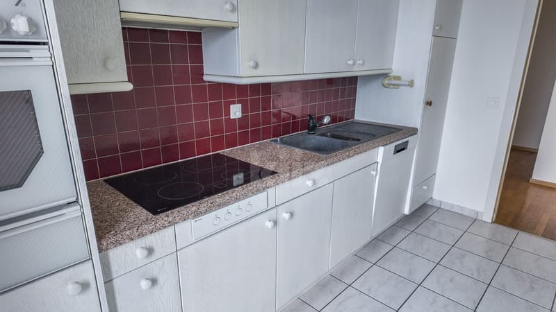 Bell'appartamento con vista mozzafiato sul lago (11)