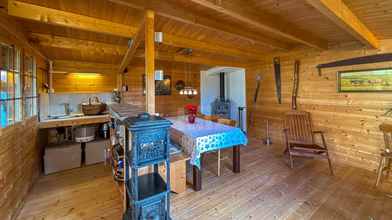 Beautiful individual villa with pavilion and garden (11)