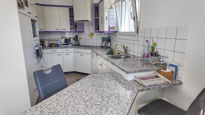 Abitazione e laboratorio professionale in zona industriale (3)