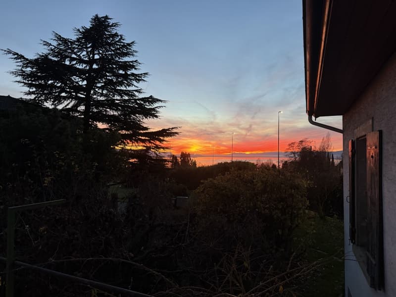 Incantevole casa del 19esimo secolo ristrutturata con gusto, oggetto unico (12)
