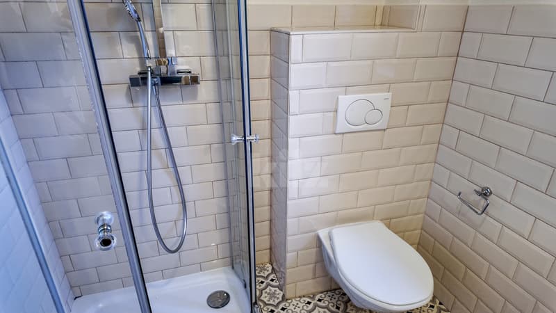 Incantevole casa del 19esimo secolo ristrutturata con gusto, oggetto unico (6)