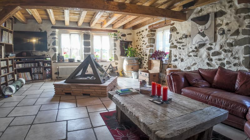 Beautiful renovated farm (1800) with garden and outdoor kitchen (2)
