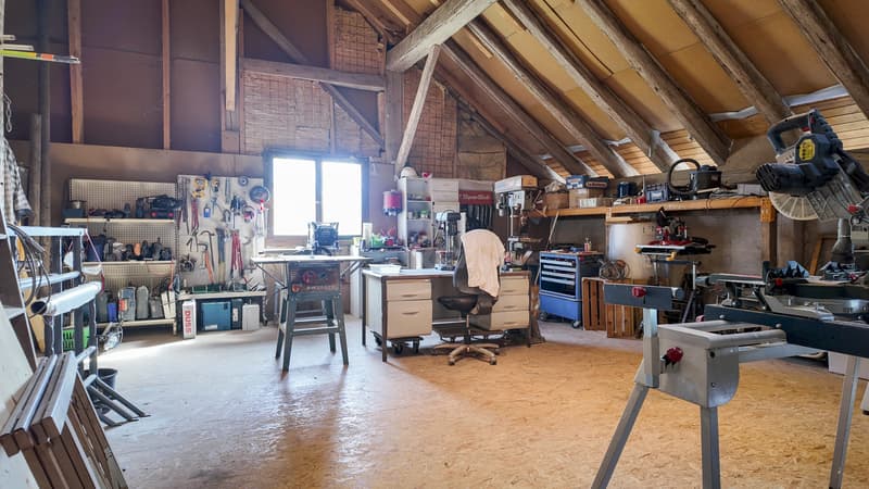 Beautiful renovated farm (1800) with garden and outdoor kitchen (10)