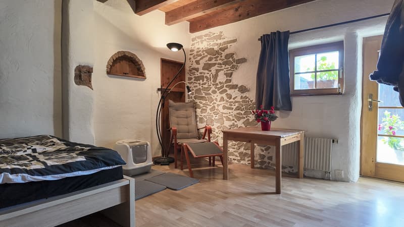 Beautiful renovated farm (1800) with garden and outdoor kitchen (5)