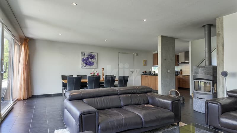 Beautiful family villa with garden and jacuzzi (3)