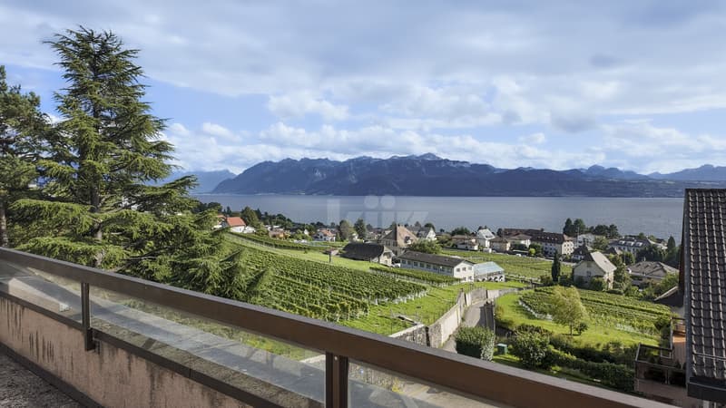 Raro! Bel appartamento con balcone e vista eccezionale (10)