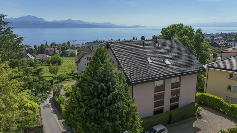Rare! Beautiful apartment with balcony and exceptional view (1)