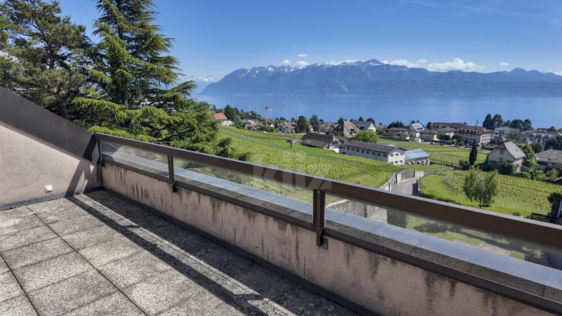 Rare! Beautiful apartment with balcony and exceptional view (3)