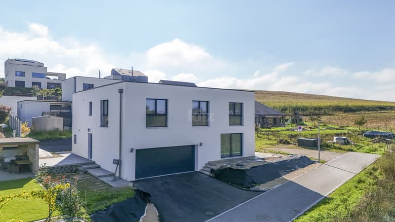 Beautiful contemporary villa of 250m2 with meticulous finishes (11)