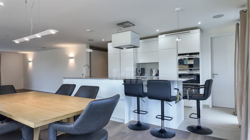 Beautiful contemporary villa of 250m2 with meticulous finishes (4)