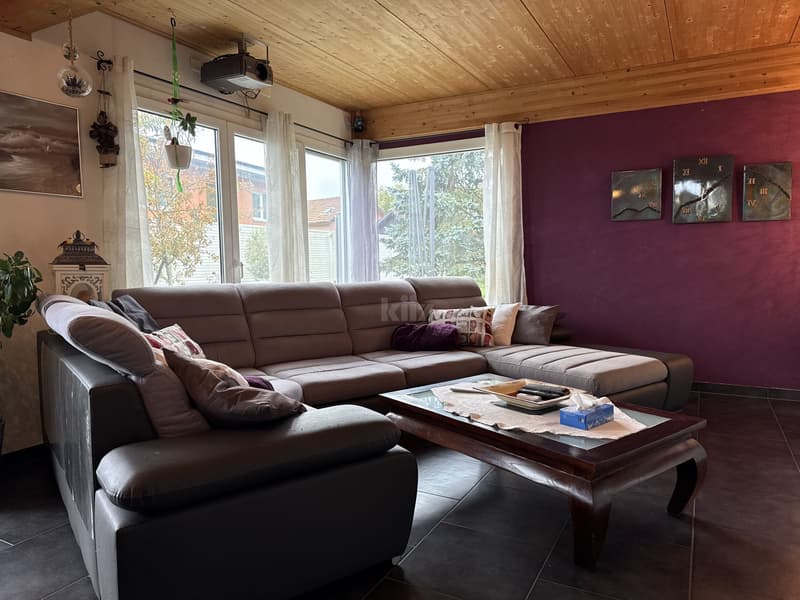 Beautiful family home with jacuzzi and lovely garden (4)