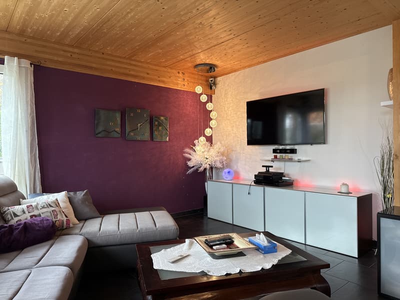 Belle maison familiale avec jacuzzi et joli jardin (4)