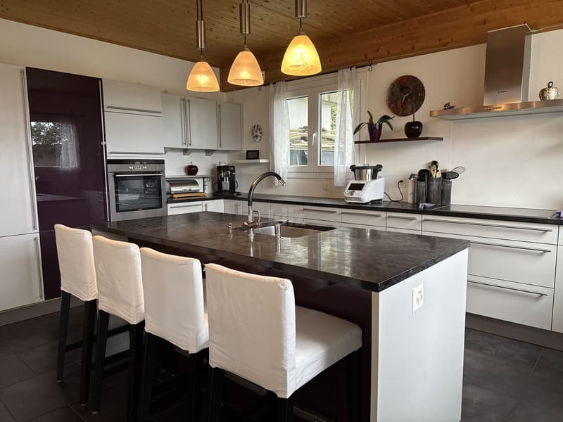 Beautiful family home with jacuzzi and lovely garden (3)
