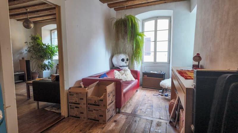 living room with wooden floor, couch, table, window, skull figure, boxes