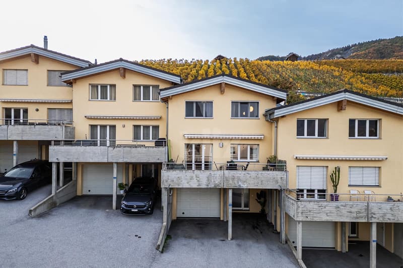 Recent house with terraces and open view (12)