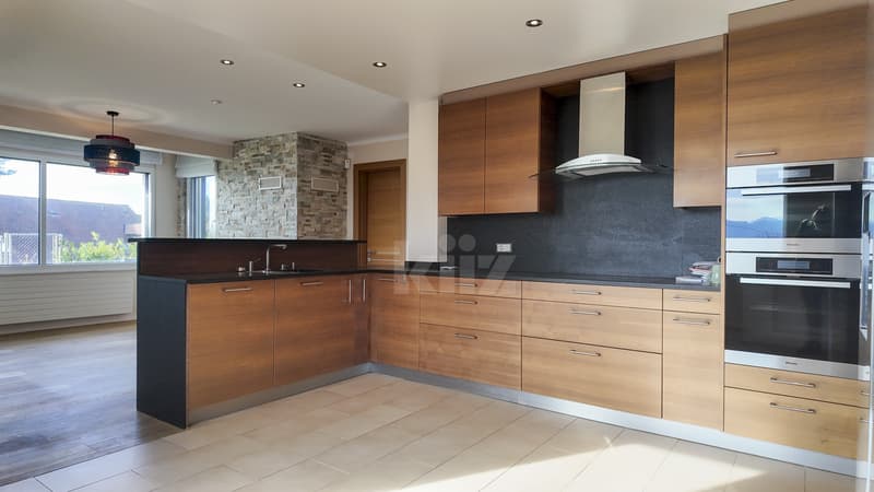 Splendid villa with pool and independent office (3)