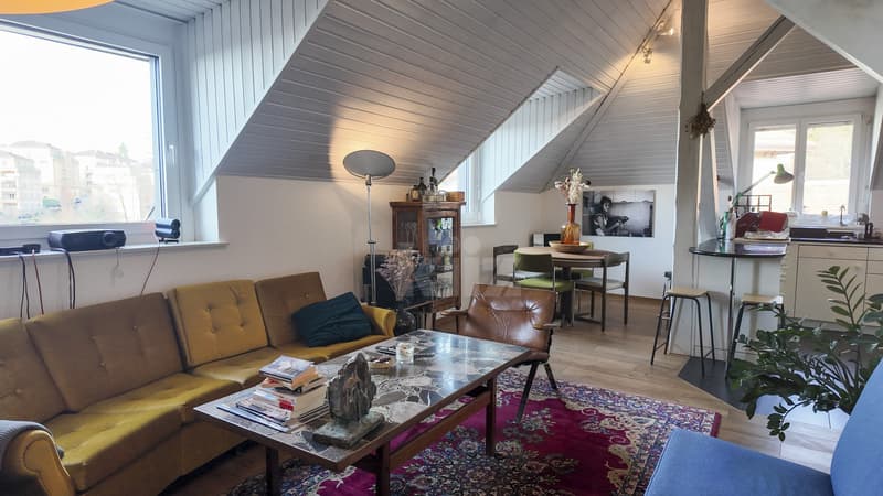 Rare! Beautiful apartment in the city center (1)