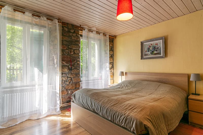 Beautiful house with garden and development potential (10)