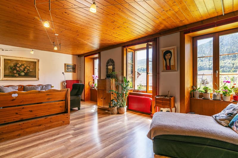 Beautiful house with garden and development potential (6)