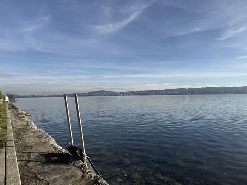 Situation privilégiée ! Belle villa avec accès direct au lac (11)