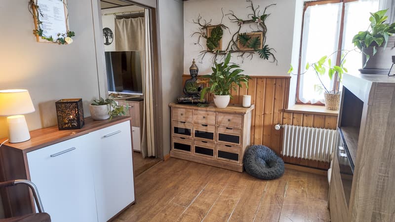 Charming house with open view (6)