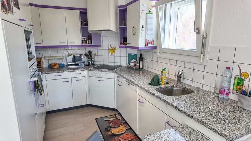 Laboratorio professionale e abitazione in zona industriale (3)