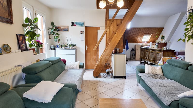 Mixed property portfolio with high potential (2)