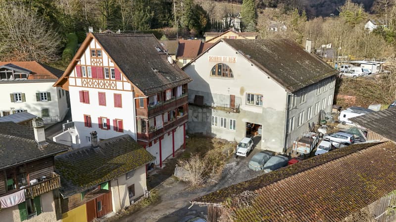 Mixed property portfolio with high potential (1)