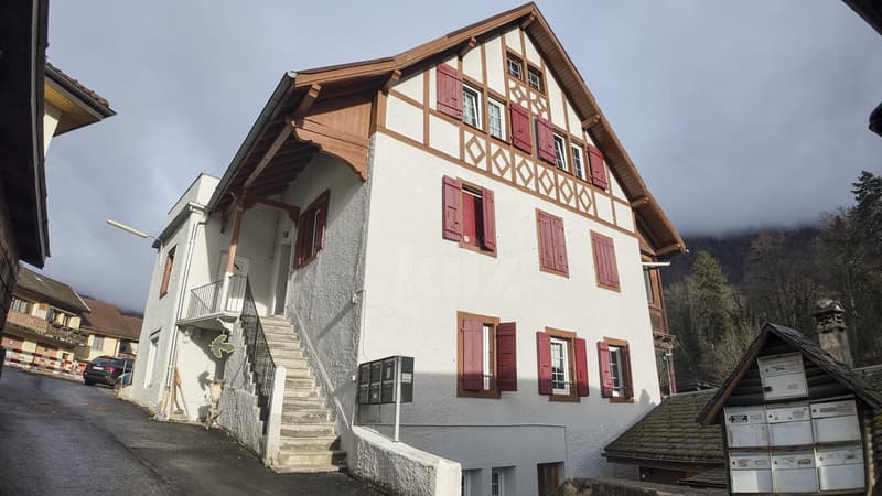 Mixed property portfolio with high potential (11)