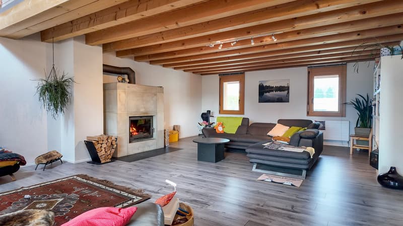 Modern living room with a fireplace, wooden ceiling, carpeted floor, sofa, coffee table, rug, decorative pillows, and potted plants