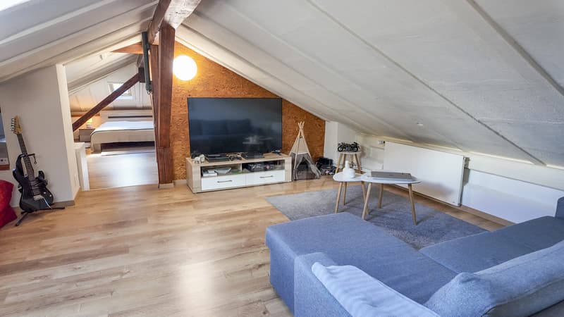 Beautiful renovated house with independent apartment (7)