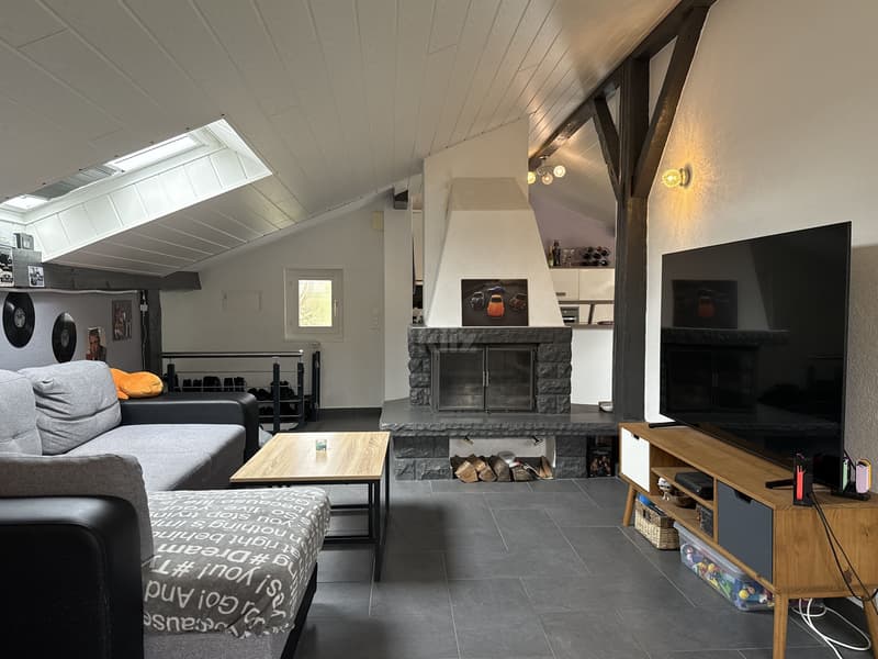 Charming house with 3 apartments, garden and pool (8)